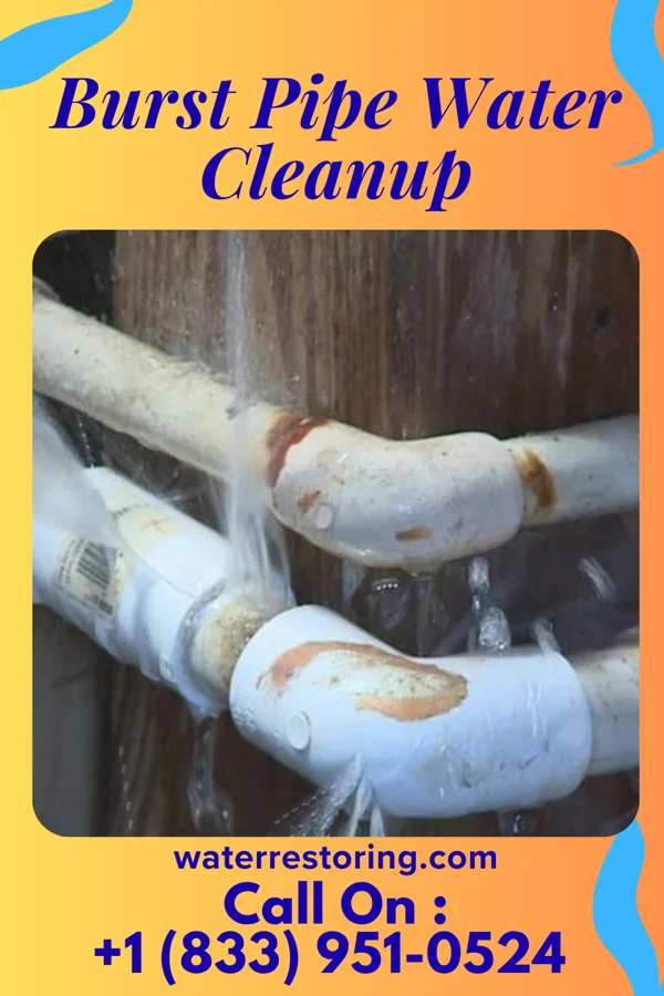 Burst Pipe Water Cleanup in Rosaryville, MD