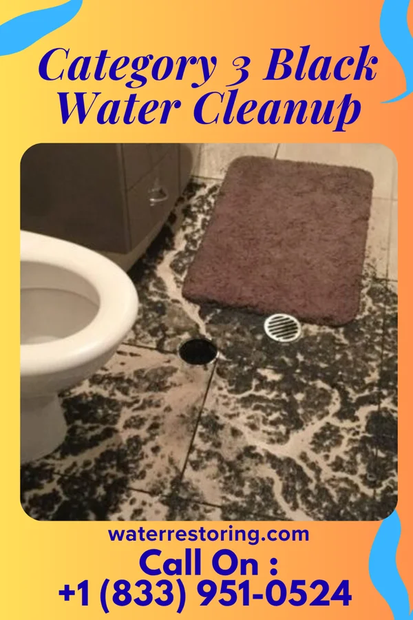 Category 3 Black Water Cleanup in Rosaryville, MD