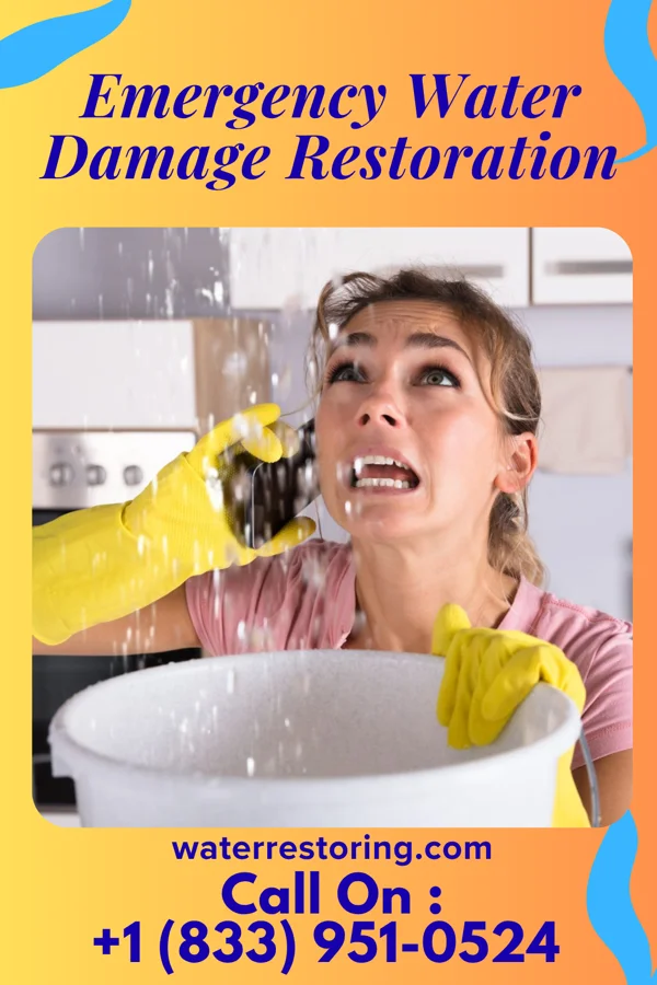 Emergency Water Damage Restoration in Rosaryville, MD