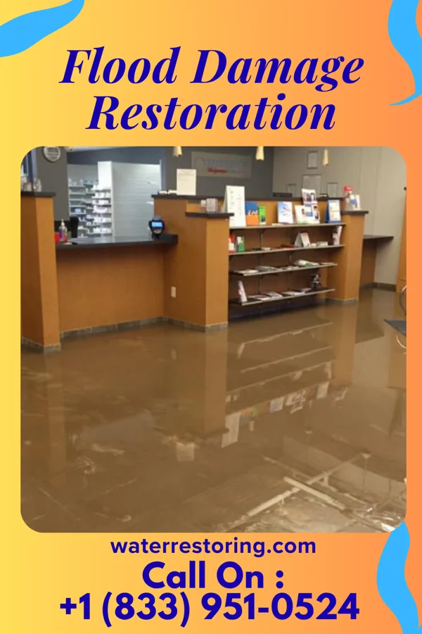 Flood Damage Restoration in Rosaryville, MD