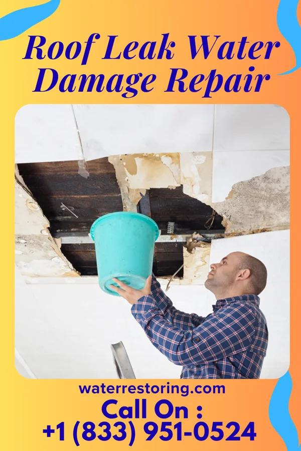 Roof Leak Water Damage Repair in Rosaryville, MD