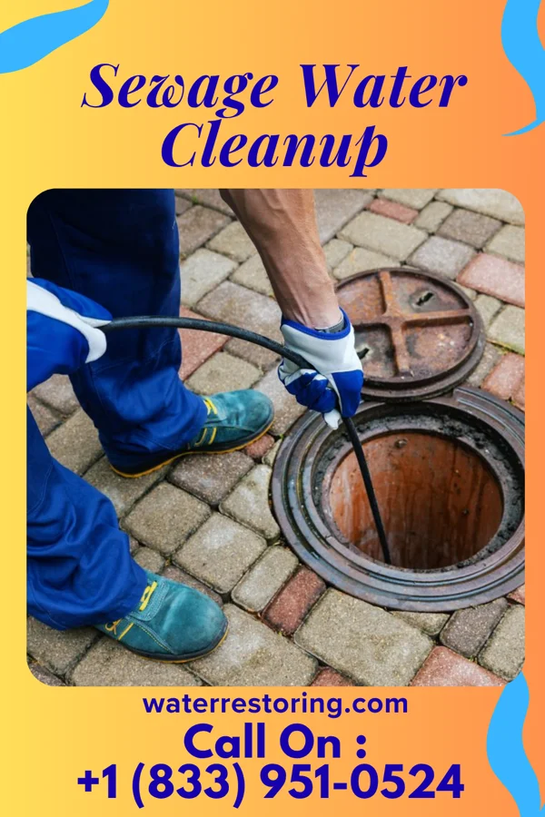 Sewage Water Cleanup in Rosaryville, MD
