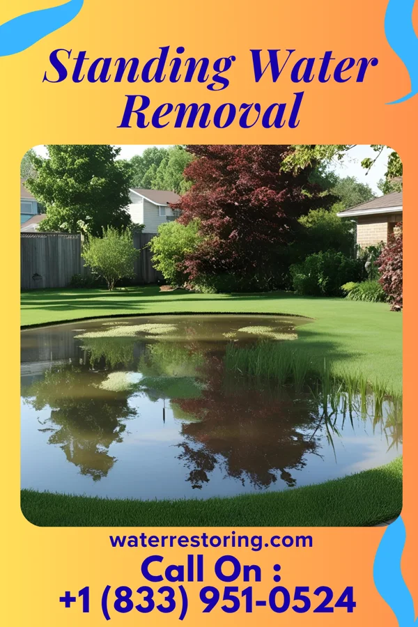 Standing Water Removal in Rosaryville, MD